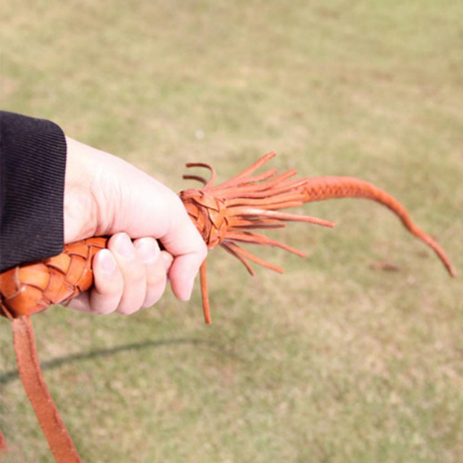 Outdoor PU Leather Horse Ridin - огляд і ціна Riding Crop Dressage